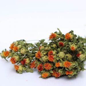 Bidens orange naturel fleurs séchées