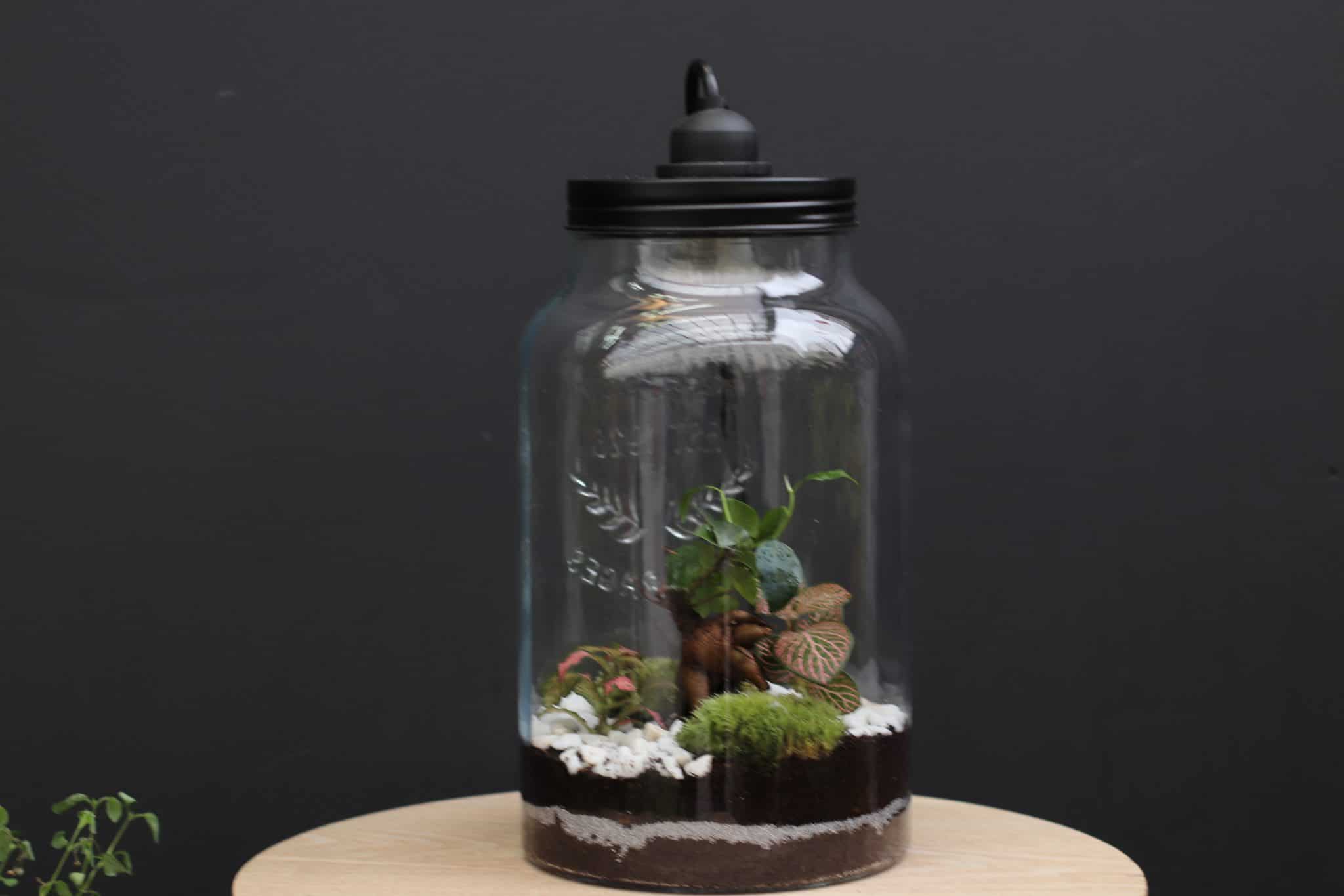Terrariums Lampe H24 Ø14 Adelaide Avril